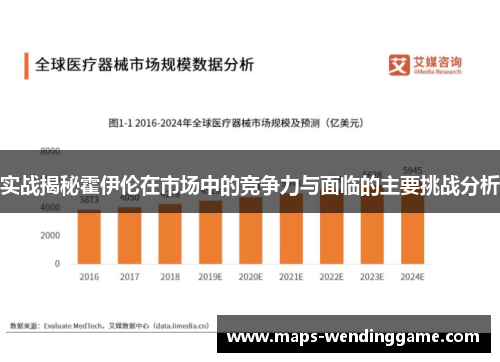 实战揭秘霍伊伦在市场中的竞争力与面临的主要挑战分析