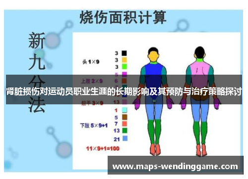 肾脏损伤对运动员职业生涯的长期影响及其预防与治疗策略探讨