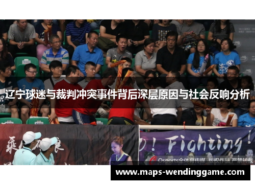辽宁球迷与裁判冲突事件背后深层原因与社会反响分析